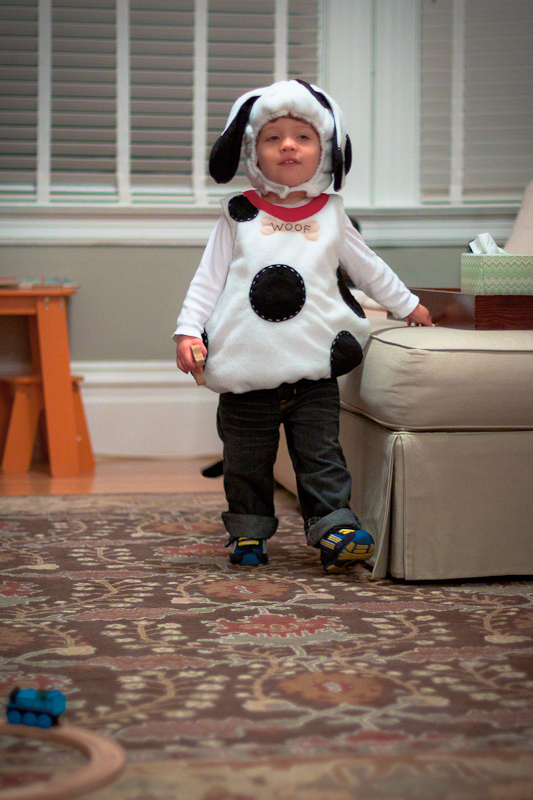 Halloween 2011 (Small) (5 of 7)