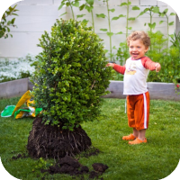 Gardening